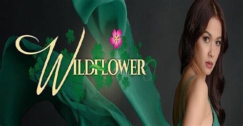 wildflower latest episodes.